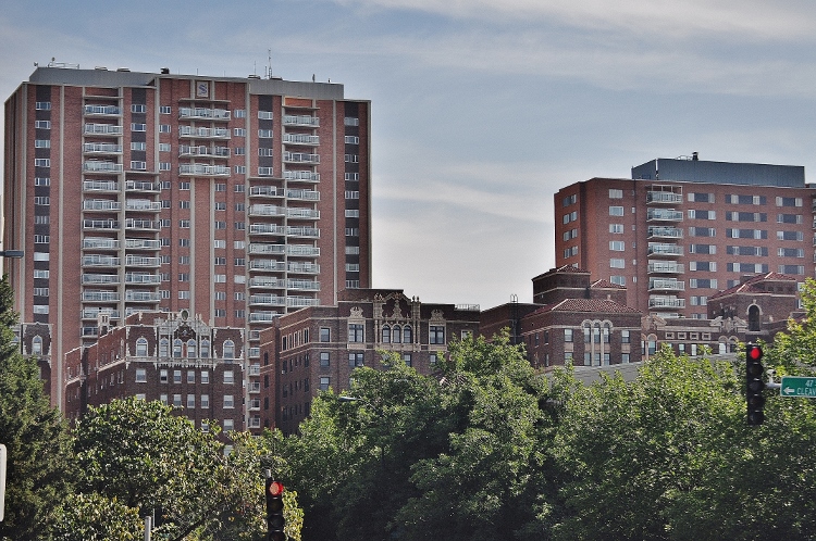 apartments above the trees